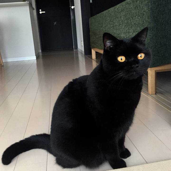 838a964a 5c15 41a6 a22f a4d528ca973d 1538746238819