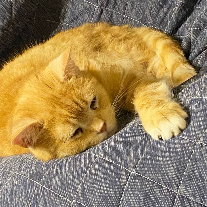 838a9e9f 341e 4667 bd30 7f797dde7b22 1618833893274