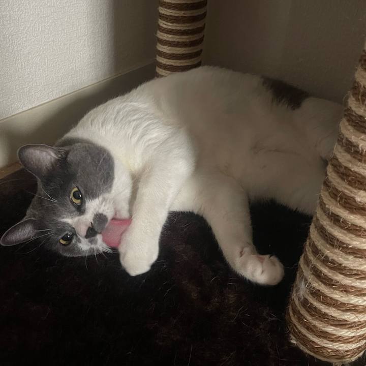 838aa848 d655 4a75 a94a fcc4e8bcbde8 1692918140031