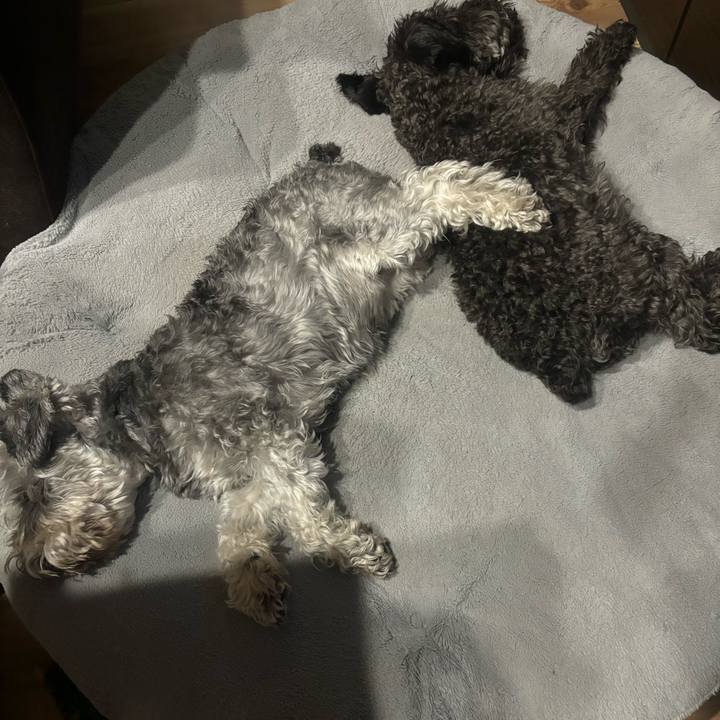 838acaa8 0bd1 4eb3 891e 6327c1a9f393 1717454659766