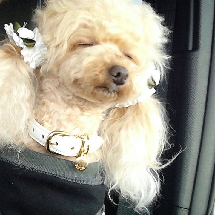 838ad360 b939 497d 8d88 b0852379a8df 1541933943718