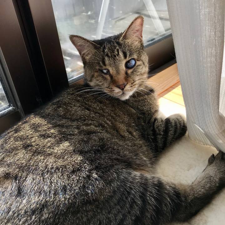 838adee7 7ab2 4930 a875 436384fa503c 1603597185888