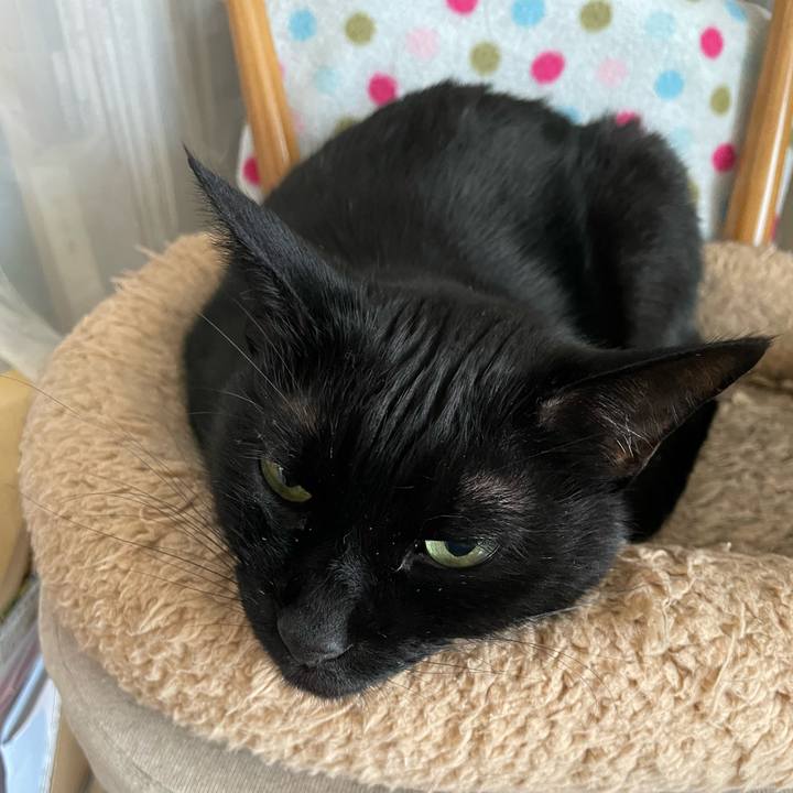 838ae14a 2230 4b08 a9d6 1b93443f45c7 1745723832781