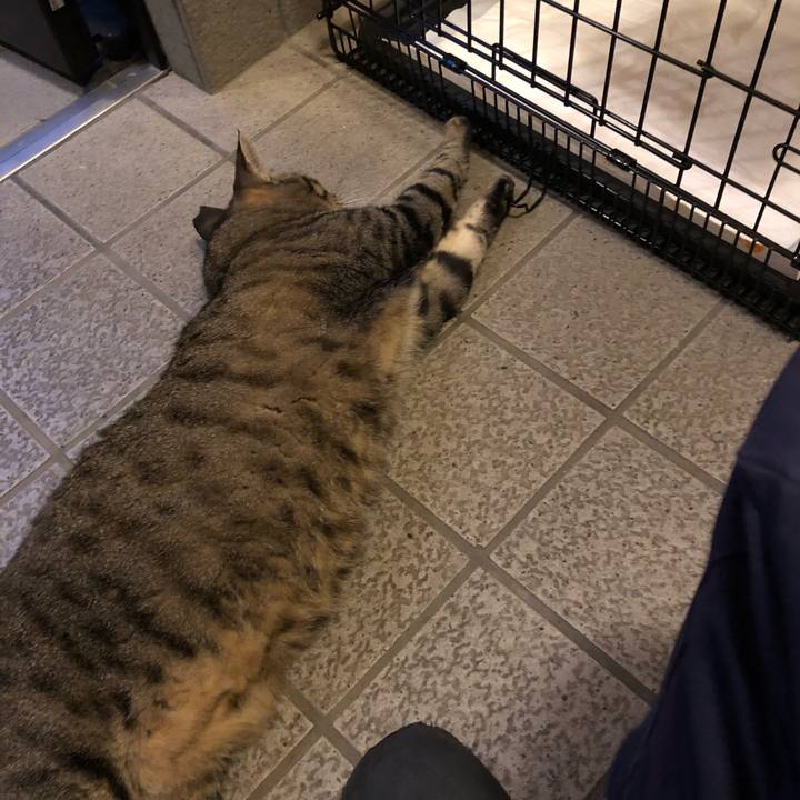 838ae68c 217a 45a0 adf0 9aafcc434d84 1536117667929