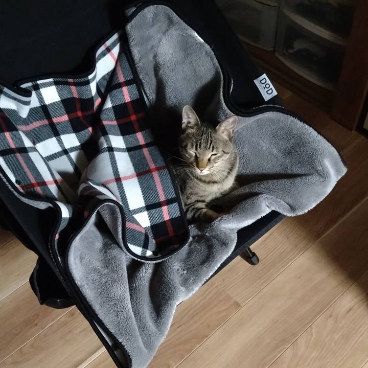 838af741 45fe 4b1a b121 59252312fd62 1633196483832