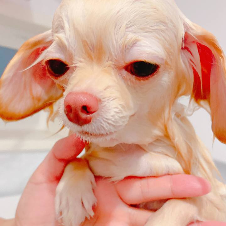 838b2e84 c1d3 4a82 8c14 fe8c25486459 1637984229229