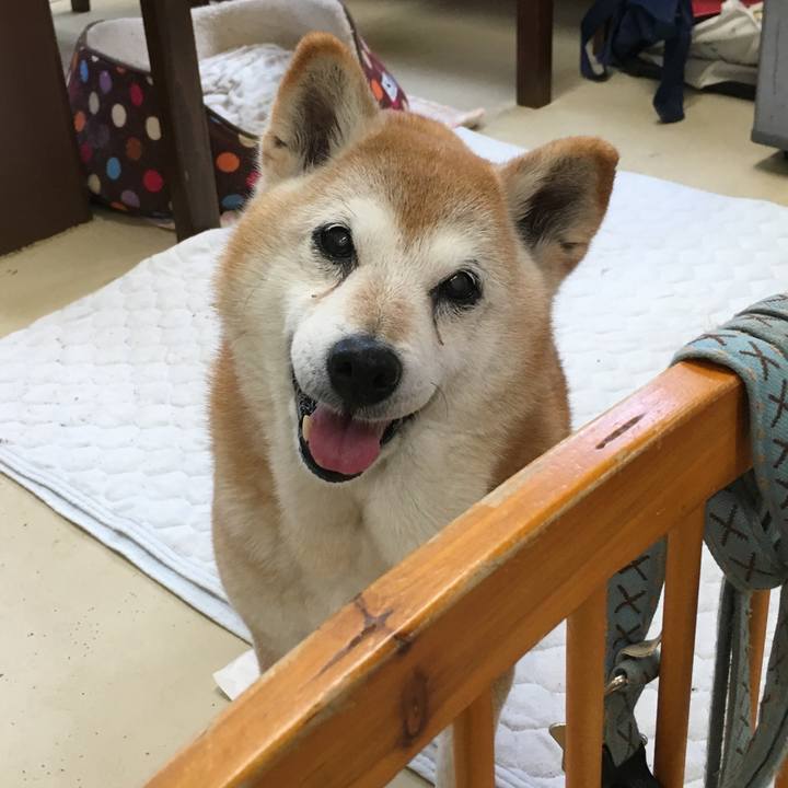 838b36d0 91ab 4a4a 9647 b535a8f5d069 1557968255771