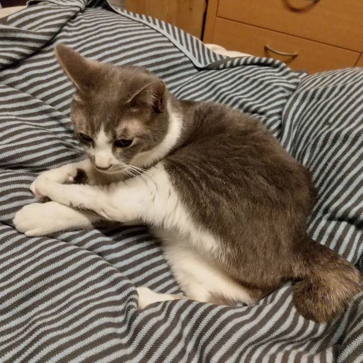 838b38a1 feb9 417d 97da 4f1b4b61a734 1615153590495