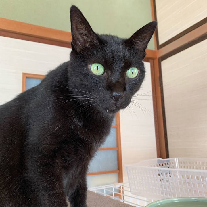 838b40b1 cc02 4459 8268 028ba3cfb063 1571188915691