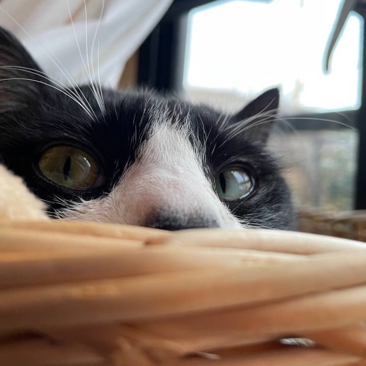 838b4af8 6f1d 4bd5 b58b ae5a72d318d3 1709378294896