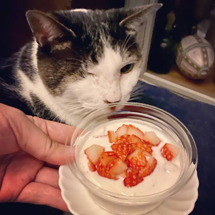 838b5c49 b0df 44b0 a6e9 4bf8017e958b 1613827566025