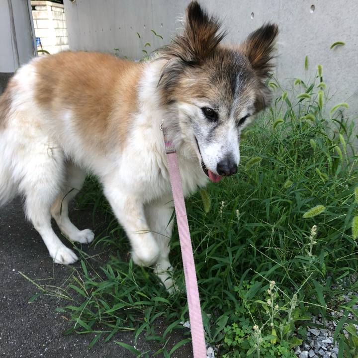 838b6cfd 0ed8 47e5 bf56 07887b3f5869 1532042965589