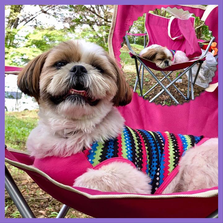 838b9841 2d55 4278 8650 a1e855e618f1 1569128138667