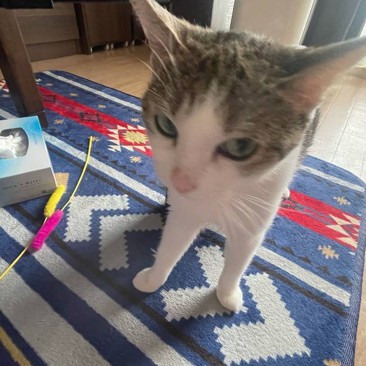 838ba989 d14a 42fb 968d 1d0336ec8f38 1626828832853