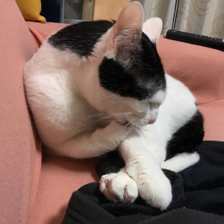 838bb1bf ac53 45a7 8ed1 3fff8dbdc57c 1518797515127