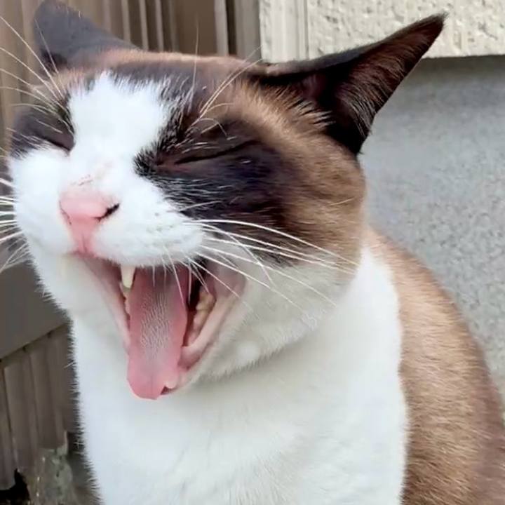 838bcda4 abf1 4c92 9c82 e726414bd1a1 1750410774797