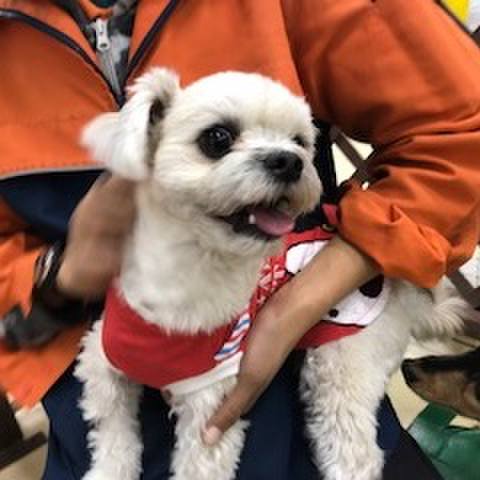 838bd9b6 4345 40cb 8e0a cb5be6e39e1e 1516185712989