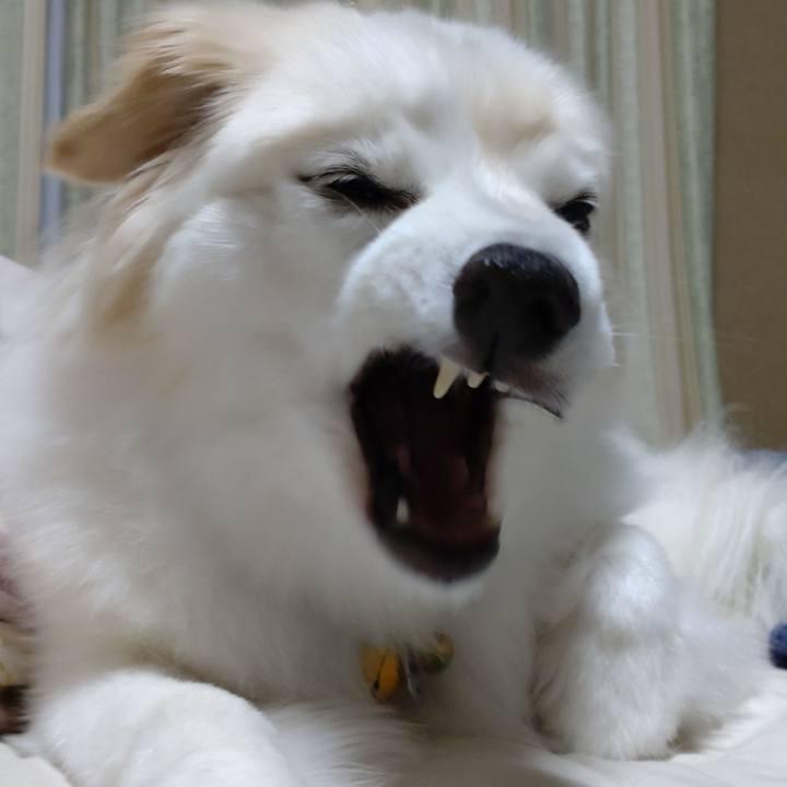 838bdddc 7b68 491f 816f 2220aa1ff7c2 1654638690638