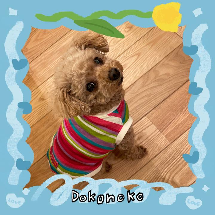 838be26e 9244 478a 8224 41c823d9a656 1771835420243