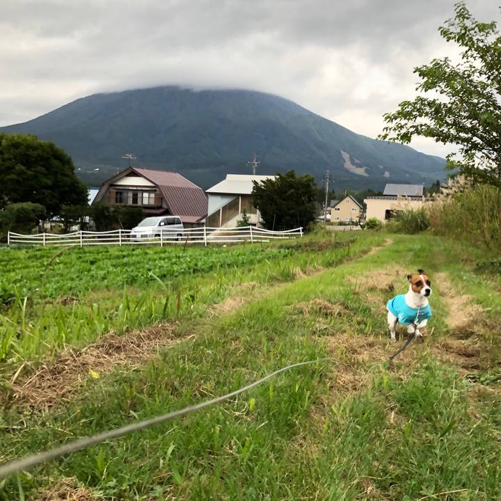 838c0972 7ba0 47d7 af50 13ee860a179b 1570447456141