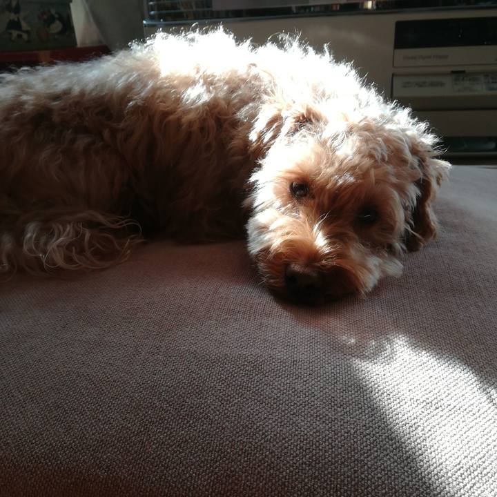 838c17a2 ae6f 42d3 841a d55ee759478a 1550898484589