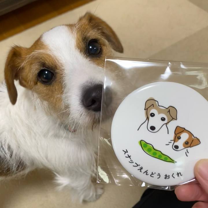 838c3682 674a 4bfb a6fc 1d6e1dd78605 1696839492941