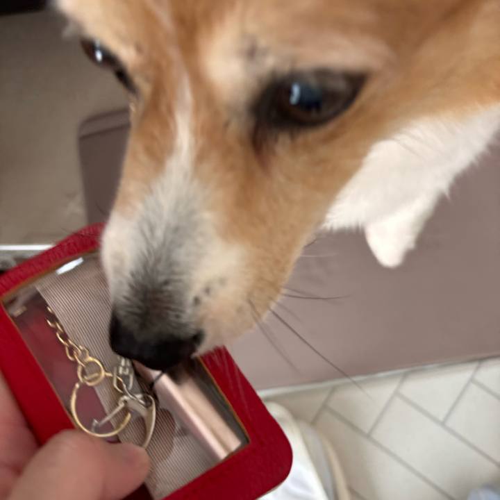 838c72e9 745b 4c42 841c a14c1648508d 1759366707942