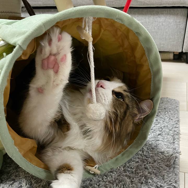 838c7e51 0d83 4c77 ac35 587d09d77779 1643925648324