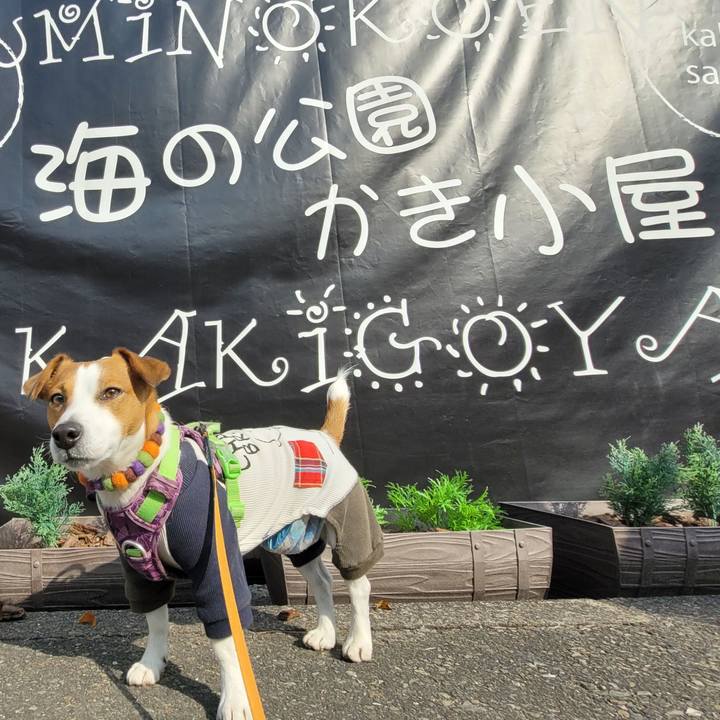 838cd3ab 23b2 4b84 b962 9169cec0f29e 1706051970925