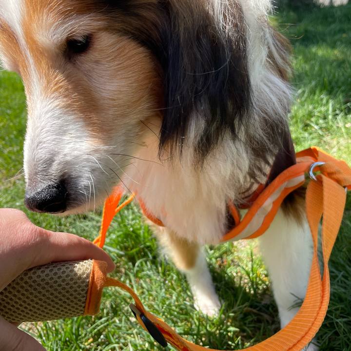 838cf07d 266a 47a0 966d 19f4c7b44693 1652095106055