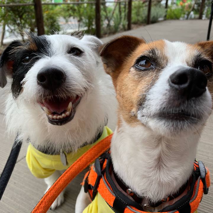 838cfad2 5e39 4f9b bc32 6737d62b4da3 1563174317088