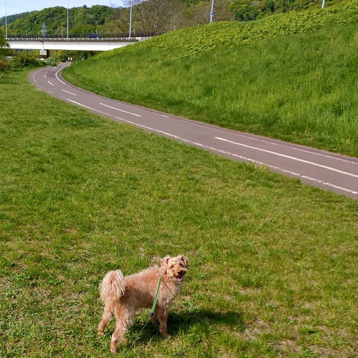 838d1b49 77f6 420e bd8e 7a3c1fee904b 1590280885698