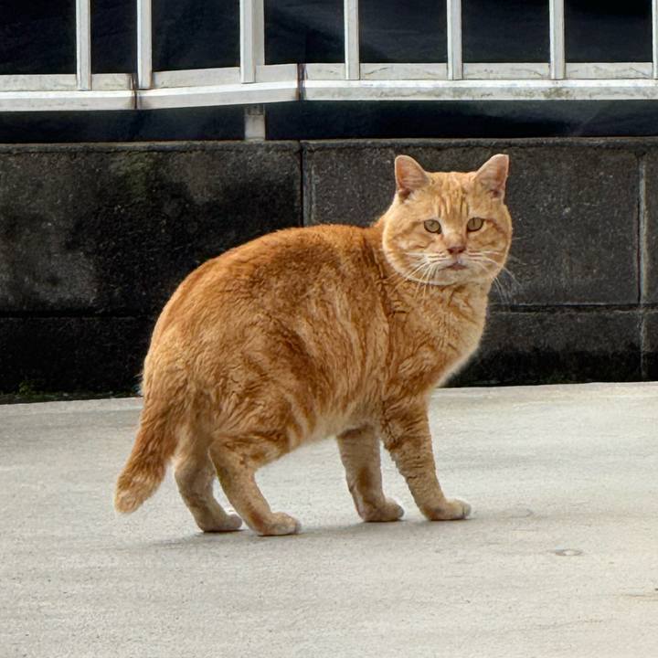 838d1c43 7c7d 40ff 80d8 99e8d3bacf00 1772073525923