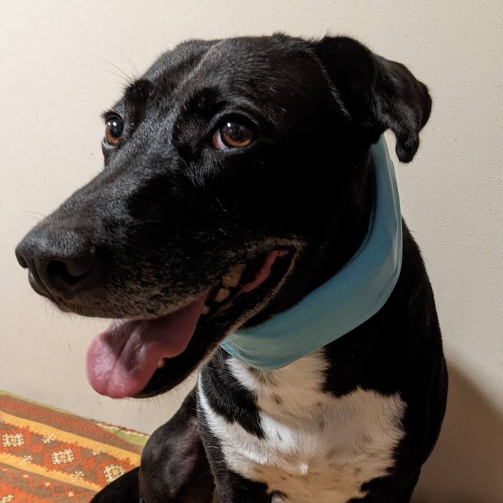 838d2b04 cab6 4245 9646 30e37ee5f26a 1655723135899