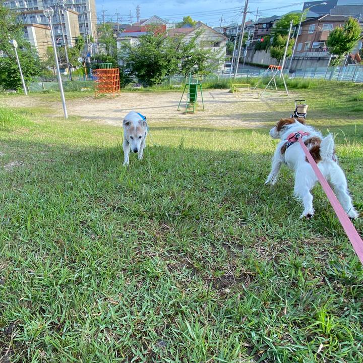 838d319a 6ae7 4d51 a87f f4878222197e 1715725256281