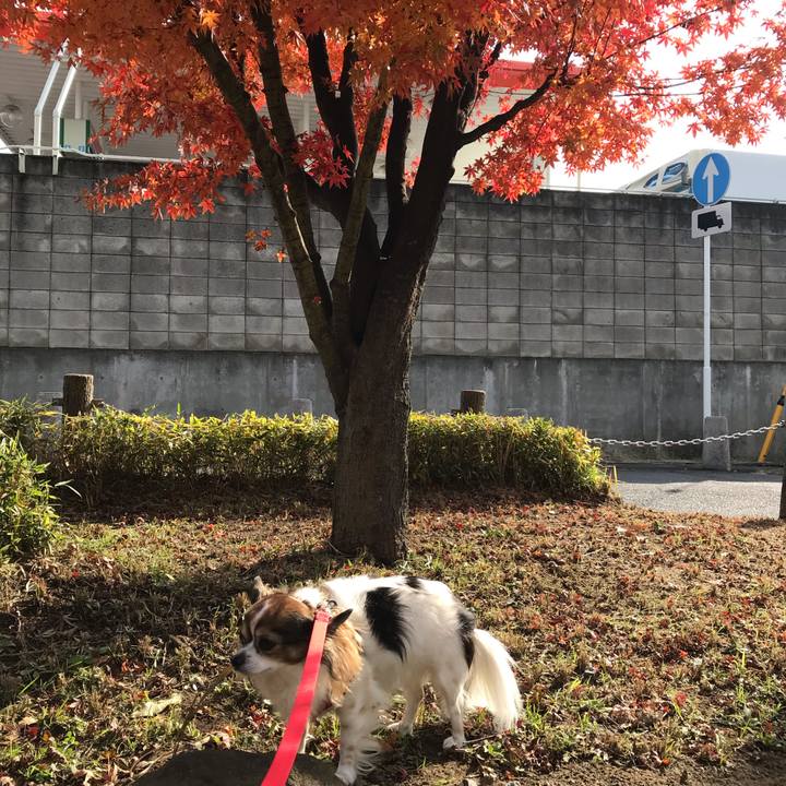 838d58c3 1f58 4974 aa24 399f588231e9 1576039526911