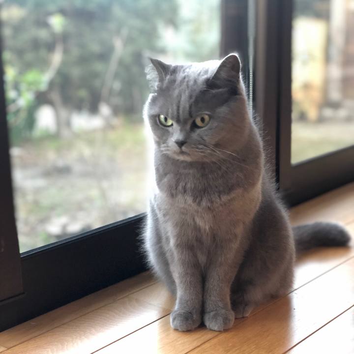 838d7540 baba 487b ac87 88ace2afb22e 1585394373429