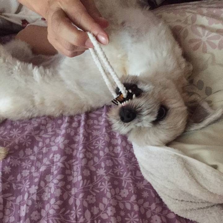 838da45b 0c9d 4d8b a842 4d1d13fe76e1 1532734020034