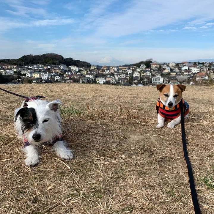 838db195 c6c2 47f8 88d4 a49a0f795f40 1642386645049