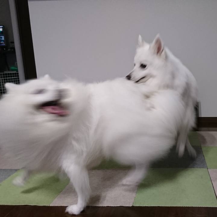 838de75b 26c5 4a40 865f eaf65345861b 1594651781180