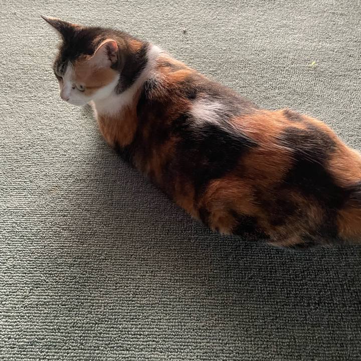 838e8361 1ace 46ff bc97 add3b78ccf69 1691617702143