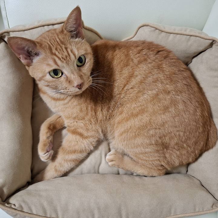 838e8da2 01d4 4979 84a5 f220b66e5065 1724114908887