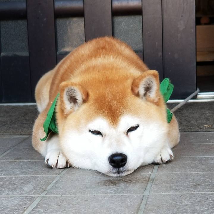 838ea74f 2e6b 4b1d bb3c 73f00258fc3f 1556928059270