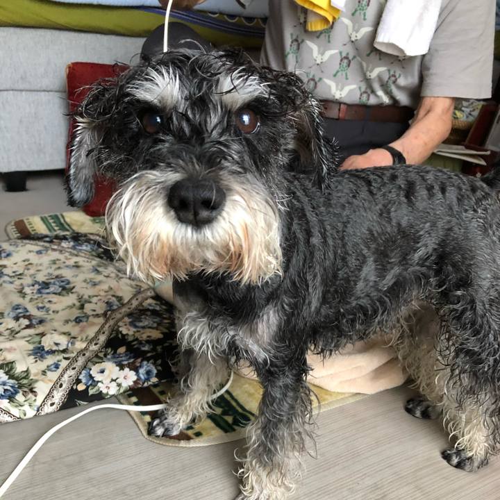 838ec7b3 e237 4823 95e9 29fda88d83ea 1653193557474