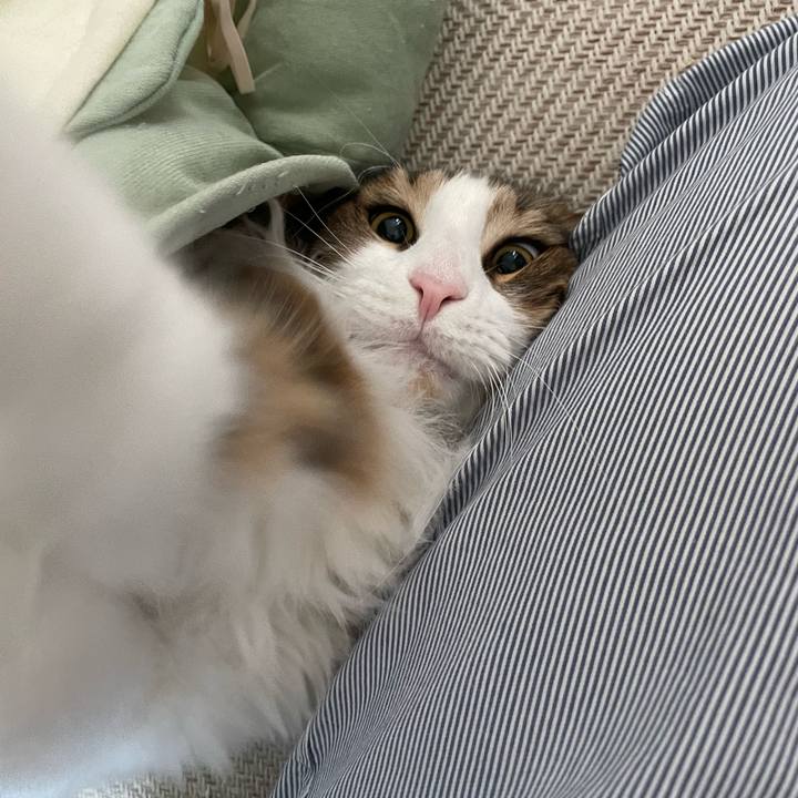 838f0993 518d 434a ab82 1eff2b21bc4d 1654898372943