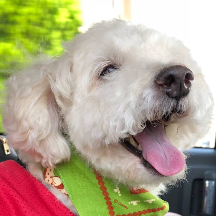 838f1405 517a 4445 bc9a 4b93bca73241 1533956763787