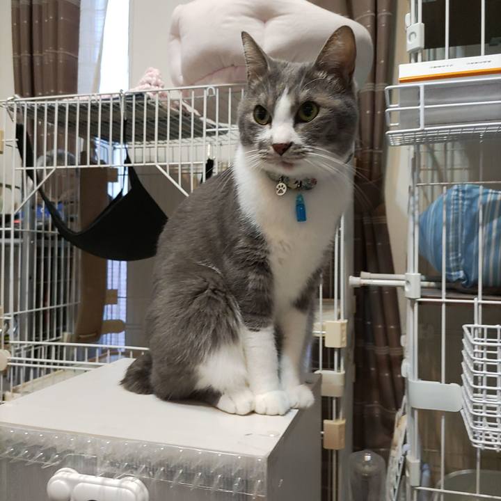 838f3093 4b0c 4e26 be5a ea74f4b65d8c 1704961806974