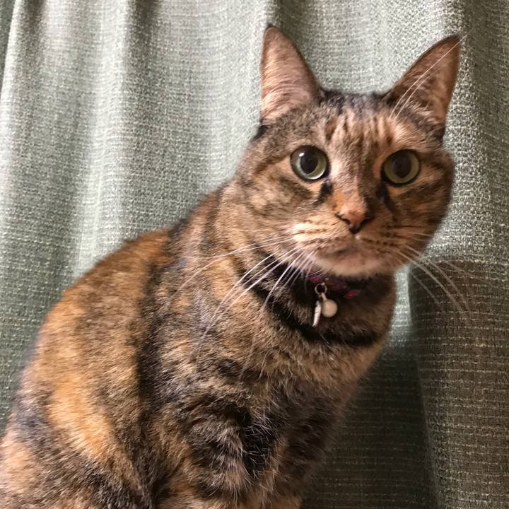 838f5e8b 44b1 4140 b8c9 b987d5ece8fb 1550313557351