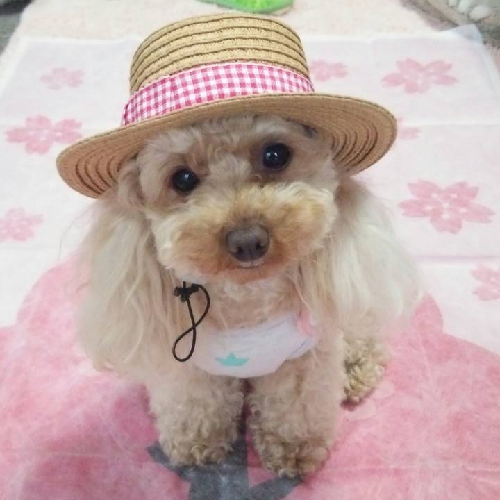 838f65ef 94ae 4390 af9a 5d81a1931286 1520586214117