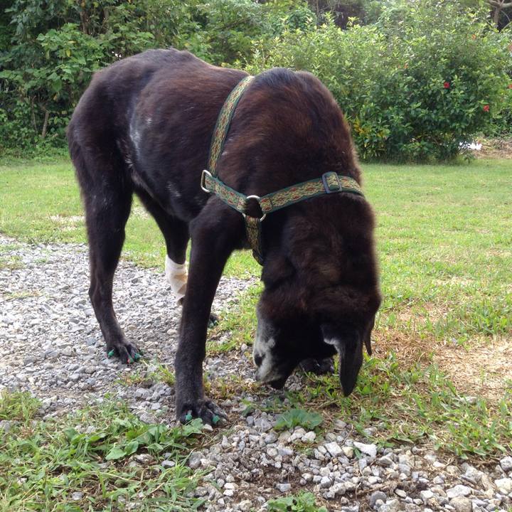 838fec1a e125 4e6a abff 4ce58ff4b430 1509342447435